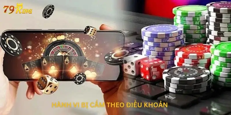 Hành vi bị cấm theo điều khoản tại 79King